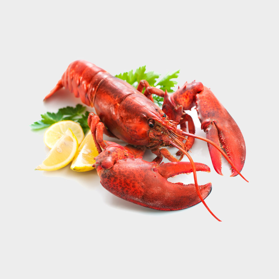 Shellfish