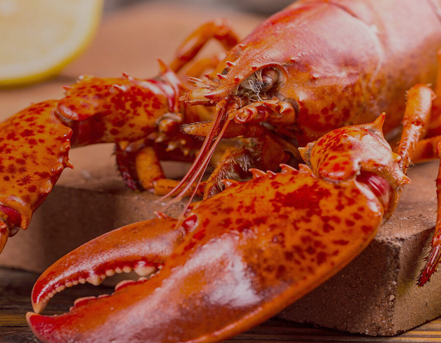 Seafood and Shellfish