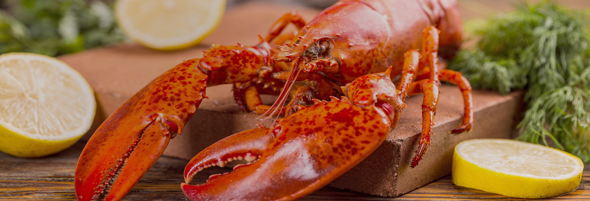 Seafood and Shellfish