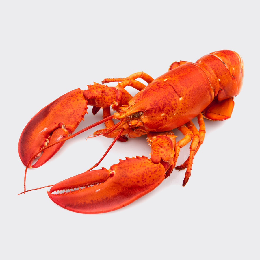 Seafood and Shellfish